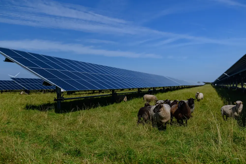 parc photovoltaïque