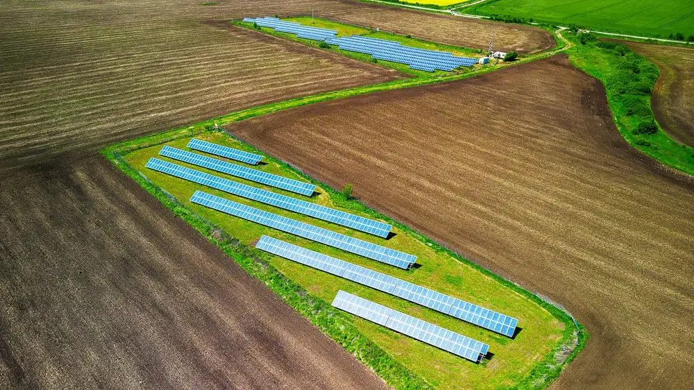 Ferme solaire et biodiversité