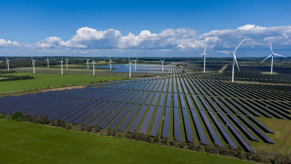 Ferme solaire et biodiversité