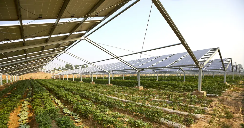 Agrivoltaïsme et SAFER