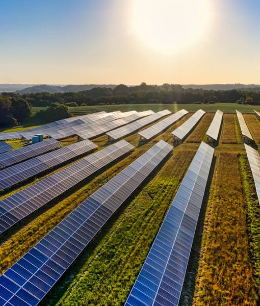 Installer du solaire sur ses terres agricoles