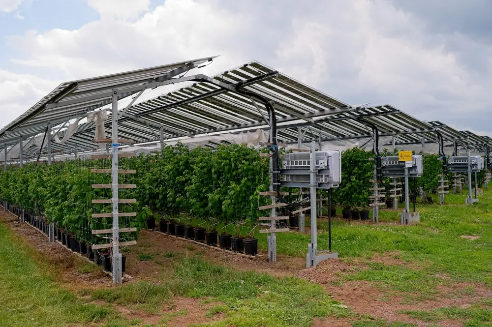  agrivoltaisme