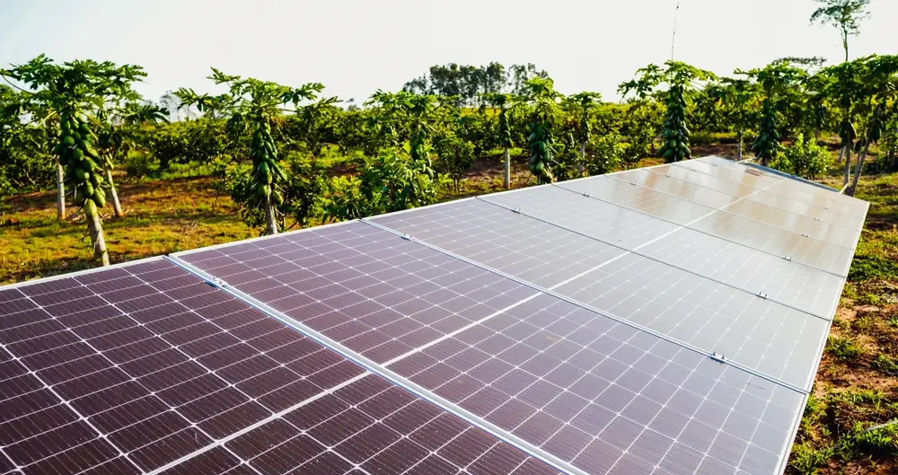 panneau solaire agricole