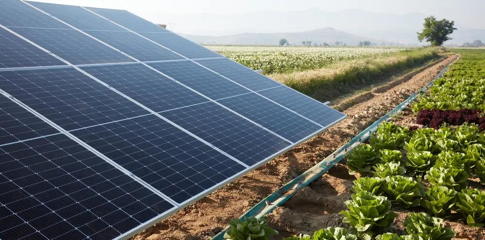 réglementation de l’agrivoltaïsme