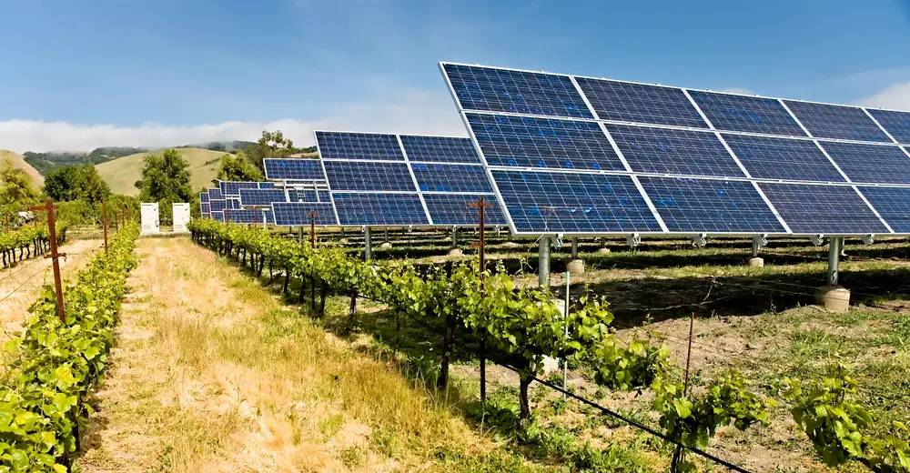 réglementation de l’agrivoltaïsme