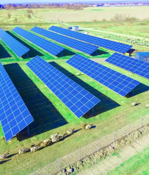 panneau solaire élevage