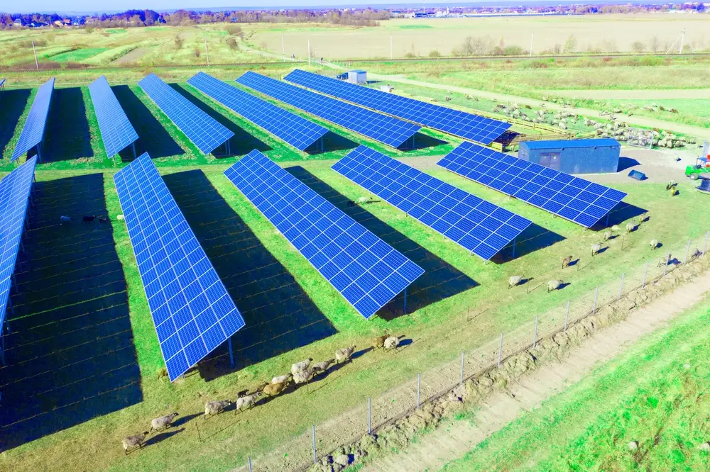 panneau solaire élevage